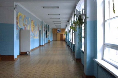 Десятикласснице сломали нос в школе