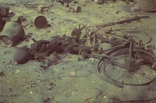 На заброшенной даче обнаружены четыре обгоревших скелета