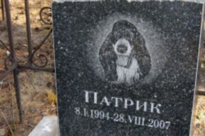 Владельцев собак обязали демонтировать памятники на могилах своих питомцев