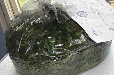 Житель Балакова осужден за торговлю наркотиками в День знаний