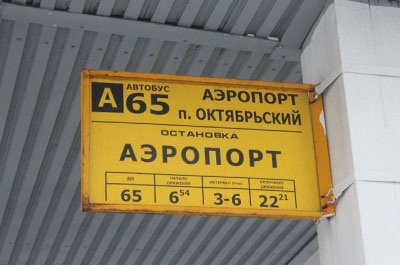 В саратовском аэропорту насчитали 94 нарушителя миграционного законодательства