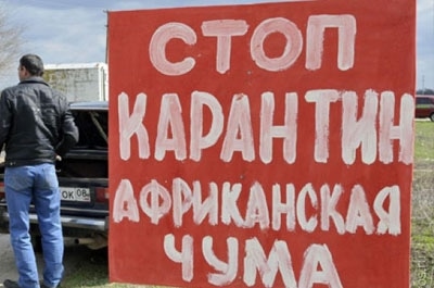 Ветеринары подтвердили диагноз АЧС у аткарских кабанов