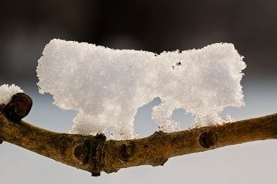 Синоптики прогнозируют резкое потепление