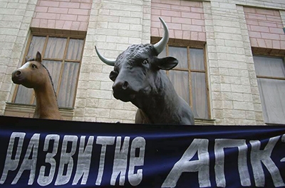 Правительство выделило почти 9 миллиардов рублей на поддержку АПК