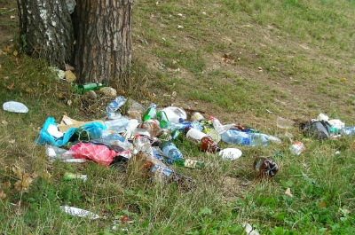 Саратовцам напомнили об ответственности за мусор в лесу