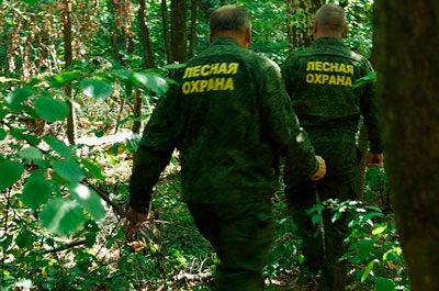 В Саратовской области усилено патрулирование лесов
