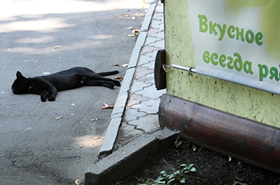 Саратовцев ожидает жаркий день без дождя
