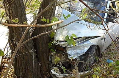 После аварии на Огородной водитель "ВАЗа" врезался в дерево