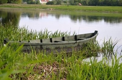 Синоптики обещают жителям Саратова теплый день без дождя