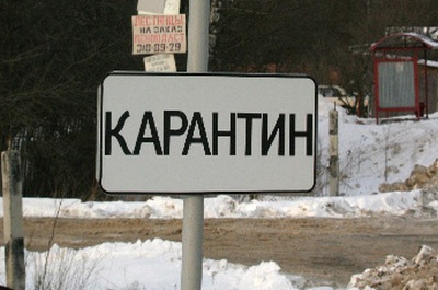 Губернатор отменил карантин по бешенству на Сосновых улицах в Марксе