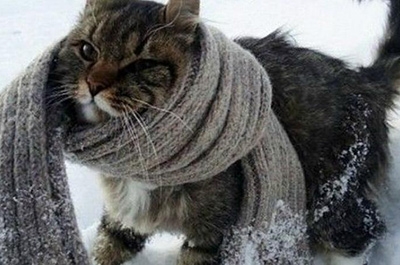 Новогодние каникулы. Оттепель сменят 25-градусные морозы