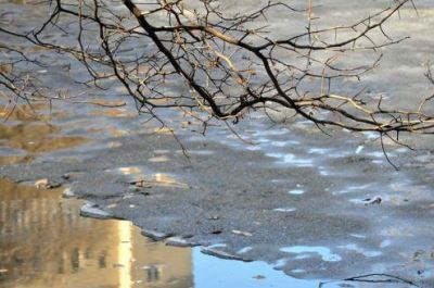 В Саратове сохранится относительно теплая погода