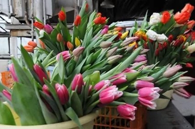 Восьмое Марта. В Волжском районе работают 14 цветочных ярмарок