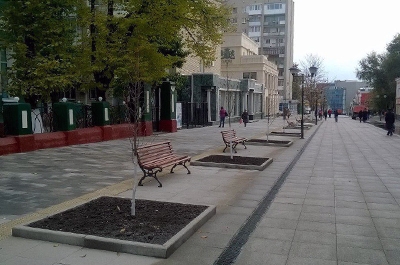 Хулиганы сломали четыре лавочки на пешеходной Волжской