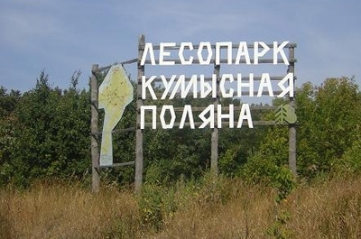 На Кумысной поляне граждане мыли машины