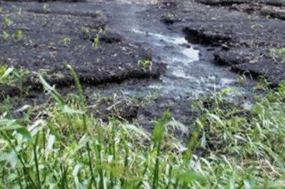 Начата проверка по факту загрязнения полей нефтью