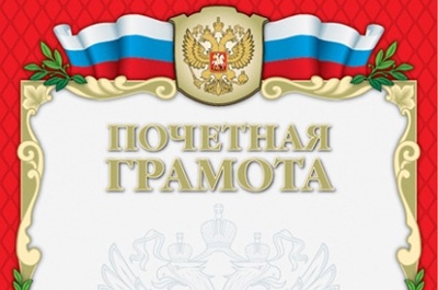 Депутаты решили наградить полицейских почетными грамотами