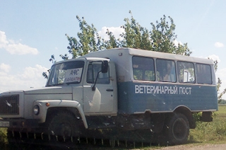 В Балашовском районе отменили карантин по сибирской язве
