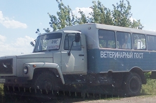 Вирус АЧС в Аткарском районе обнаружен у павшего кабана