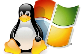 СМИ: в муниципалитетах поменяют "Windows" на "Linux"