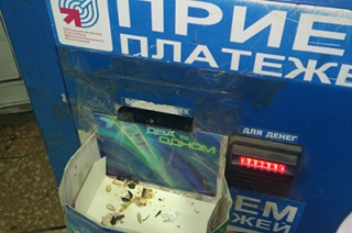 Директор магазина украла из платежного терминала четверть миллиона рублей