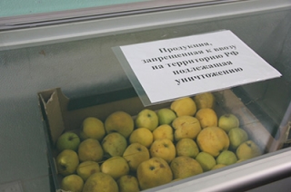 Таможенники предлагают сообщать о продаже санкционных продуктов