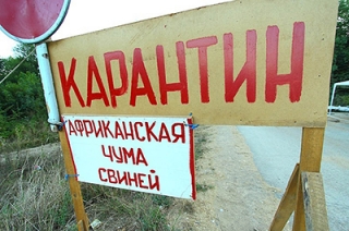 Из-за АЧС в угрожаемую зону попали села двух районов области