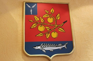 Глава нотариальной палаты спрогнозировала "социальный взрыв" в Саратовском районе