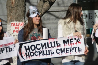 Защитники животных в Саратове призвали отказаться от шуб