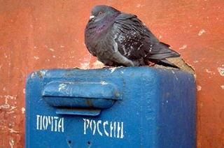 Сотрудницу "Почты России" уволили после ревизии