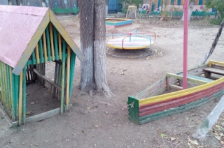 Родители просят спилить "деревья-убийцы" на территории детсада