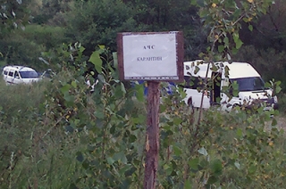 В регионе зафиксирован очередной случай заболевания АЧС