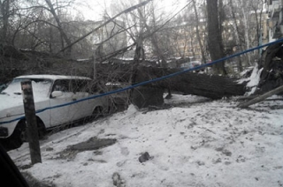 Упавшее дерево повредило две машины и газовую трубу