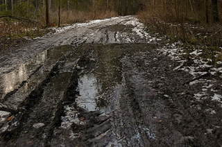 Саратовцев ждет ясный теплый день