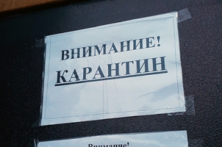 В школах Саратова отменен карантин