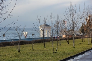 Саратовцев ждет теплый безветренный день