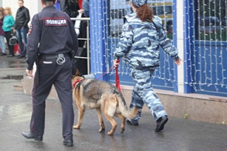 В здании саратовского аэропорта работают кинологи
