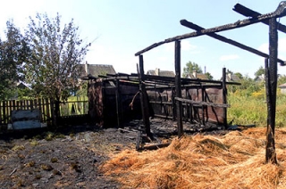 Пожарные полчаса тушили сарай с соломой