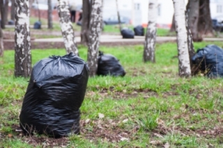 В Саратовской области завершился месячник по благоустройству