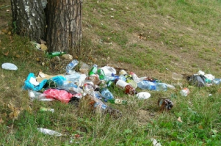 Саратовцам напомнили об ответственности за мусор в лесу