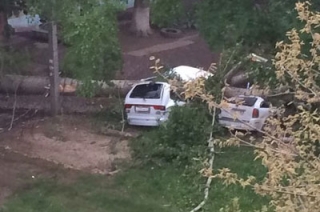 В Балакове упавшее дерево повредило две иномарки