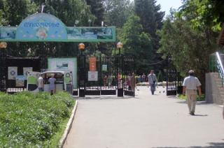 В горпарке открылась библиотека "под открытым небом"