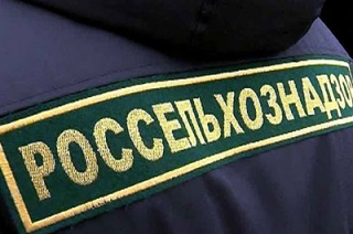 На саратовском рынке обнаружили тонну фруктов из Турции и Польши
