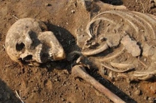 Жители Саратовского района нашли на улице человеческие кости