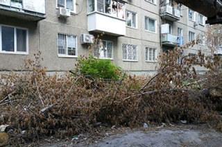 Жители Заводского района обнаружили "угрозу пожара" под окнами дома