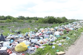 Ущерб от свалки в Пудовкино оценен в четыре миллиона рублей