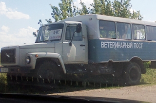 В Саратовской области выявлено четыре очага африканской чумы свиней