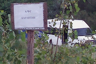 Свиньи в районах области продолжают гибнуть от АЧС