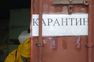 Губернатор отменил в Липовке карантин по бешенству