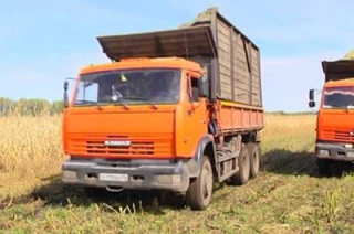 Из Саратовской области пытались незаконно вывезти три "Камаза" пшеницы